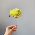 Single branch artificial French rose green silk flower for home decor and wedding decoration. - Green