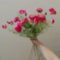 Artificial pink ranunculus bouquet faux silk flowers for home decor photography props gift. - Rose Purple