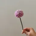 Primo piano di uno stelo di crisantemo artificiale rosa, ideale per la decorazione d'interni. - Viola chiaro