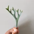 Staghorn fern leaf detail view, artificial PVC green plant leaf for DIY floral design craft. - Staghorn Leaf - Gray Green