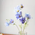 Primo piano di fiori di cosmo artificiali blu in vaso, elegante dettaglio floreale. - Blu