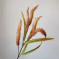 Nahaufnahme Detail von künstlichen Schilfblüten Ähren und grünen Blättern für Fotorequisiten. - Orange