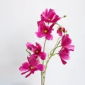 Primo piano dettagliato del ramo di fiori di cospea rosa artificiale in seta fine. - viola-rosso