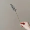 Artificial vanilla spike flower detail shot, foam berry stem for home decor and photo props. - Gray