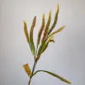 Künstliche Fuchsschwanz Gras Salbei Zweig Deko Blume für Hochzeit Wohnkultur Fotorequisiten - Grün
