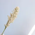 Artificial white foam flower berry spike branch for home decor and photography props - Off White