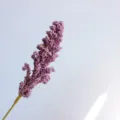 Purple Artificial Foam Berry Flower Spike Stem, Fake Floral for Home Decor Photography Prop - Deep purple