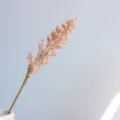 Artificial vanilla spike foam flower branch pink decorative photography prop for home decor - Champagne