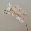 Close up detail of artificial phalaenopsis orchid stem, premium touch floral decoration. - Oatmeal