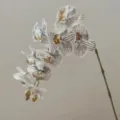 Artificial Phalaenopsis orchid stem 3D ink grey decorative flower for home decor - Ink Grey