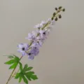 Detail view of a single stem artificial delphinium flower featuring purple petals and green leaves. - Light Purple