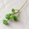 Ramo di pianta succulenta artificiale a 6 teste verde finto per micro paesaggio decoro - rosso e verde