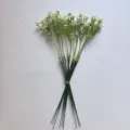 Tallos de flores artificiales arreglo floral DIY capullos blancos decoración de mesa hogar - Cipas (10 Tallos)