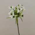 Artificial flower Star of Bethlehem silk flower velvet floral stem home decor props - Light Green