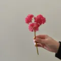 Primo piano dettagliato del fiore artificiale rosa mini per corsage e progetti artigianali. - Rosa