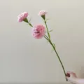 Pink artificial carnation detail shot, 3-head silk flower stem for home and event decor. - Pink