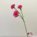 Close up detail view of 3-head pink artificial carnation flower stem, ideal decoration. - Rose Red