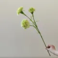 Artificial green carnation stem detail view, realistic floral decor accent piece for DIY arrangement. - Green