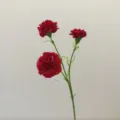 Detailed view of artificial red carnation flower stem, 3 flower heads silk floral decor. - Red
