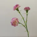 Close-up detail of artificial 3-head carnation silk flower, elegant white and purple petal gradient. - Purple Edge