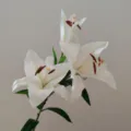 Detailed close-up of premium artificial white lily flower, realistic touch and natural green leaves. - White