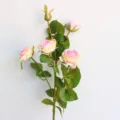 Detailed view of 5-head artificial pink rose branch silk flower for home decor photography. - Pink