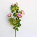 Detailaufnahme künstlicher Rosenzweig mit rosa Blüten und grünen Blättern für die Heimdekoration. - Rosa-Lila