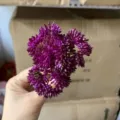 Dettagli di materiali di fiori succulenti artificiali viola per artigianato e decorazioni. - Viola scuro