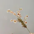 Artificial autumn retro daisy flower branch faux chamomile home wedding decor fake floral - Champagne