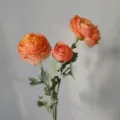Fiori artificiali di ranuncolo in seta 3 teste peonia pesca decorazione floreale casa - Arancione