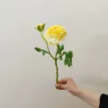 2-Head Artificial Camellia Flower Silk Fake Flowers Photography Prop Home Decor 1pc - Light Yellow