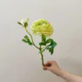 Artificial camellia flower detail, 2 heads short stem silk flower for photo decor. - Green