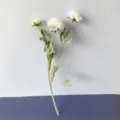 Detailed close-up of 3-head artificial ranunculus silk flower branch for home decor. - White