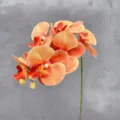 Artificial Phalaenopsis flower detail, 6 heads real touch silk orchid for home decor. - Coffee and Yellow