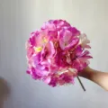 Detailed close-up of artificial pink purple hydrangea flower head with realistic petal texture. - Purple