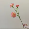 Detailed close-up shot of artificial carnation flower heads with delicate petals for decor. - Red Edge