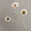 Artificial poppy flower botanical detail, flocked stem, aesthetic oil painting home decor. - Autumn Champagne