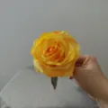 Yellow artificial rose flower head silk floral accessory for craft cake hat decor 1pc - Yellow
