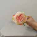 Detail shot of artificial peach gradient rose flower head, perfect for DIY crafts and decor. - Champagne