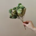 9-Head Artificial Fortune Flower Silk Peony Bouquet Home Wedding Party Decor Green - Green