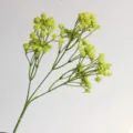Künstlicher Schleierkraut Zweig in Gelb-Grün, perfektes Detail für Heimdekoration. - Grün