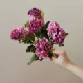 Detail shot of 9-head purple artificial hydrangea silk flower bunch for home decor and photography. - Rose Purple