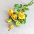 Künstliche gelbe Rosen 5 Köpfe Seidenblumen Strauß für Heimdekoration Fotografie Requisiten - Goldgelb