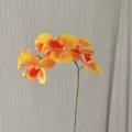 Artificial phalaenopsis orchid detail, 6-head yellow-orange gradient silk flower decor. - Orange