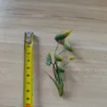 Small artificial green leaves for DIY crafts, floral arrangements, and handmade corsage accessories. - Dragon Claw Grass