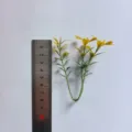 Small artificial green PVC plant leaves for DIY floral arrangement and craft decoration use. - 3-Prong Heart Water Grass: Yellow Green