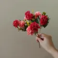 Ramo de flores artificiales de seda decoración hogar boda mesa hermoso nuevo - Rojo Rosa