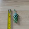 Green PVC artificial leaf craft accessory for DIY floral decoration, detailed view. - Pine Cone, Gray Green
