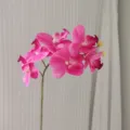 Pink artificial Phalaenopsis orchid flower branch with six heads for home decor and display. - Rose Red