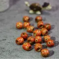 Perles en bois colorées pour tresses de cheveux dreadlocks rétro perles d'espacement kit bijoux DIY - 11x12mm (Ouverture d'environ 5mm) / Roue Rouge